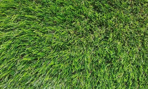 30mm Spring Artificial Turf For Landscaping