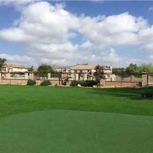 best landscaping grass