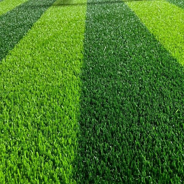 sand free turf